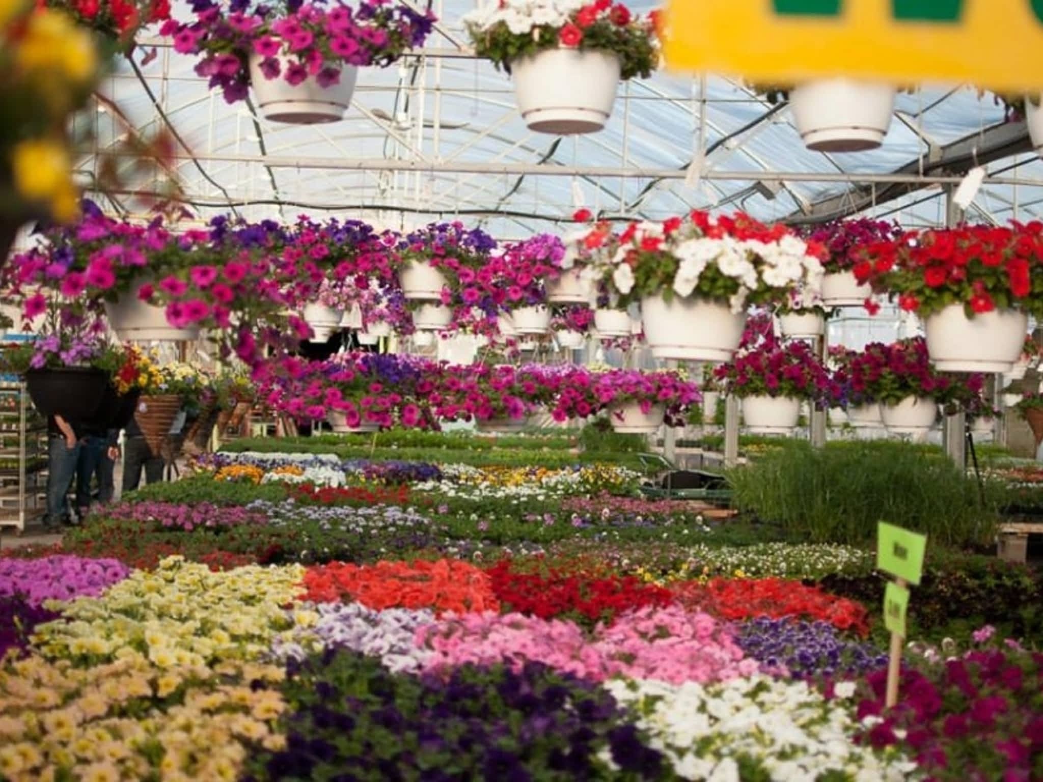 Schmidt Greenhouses Dryden, ON 16669 Hwy 17 W Canpages