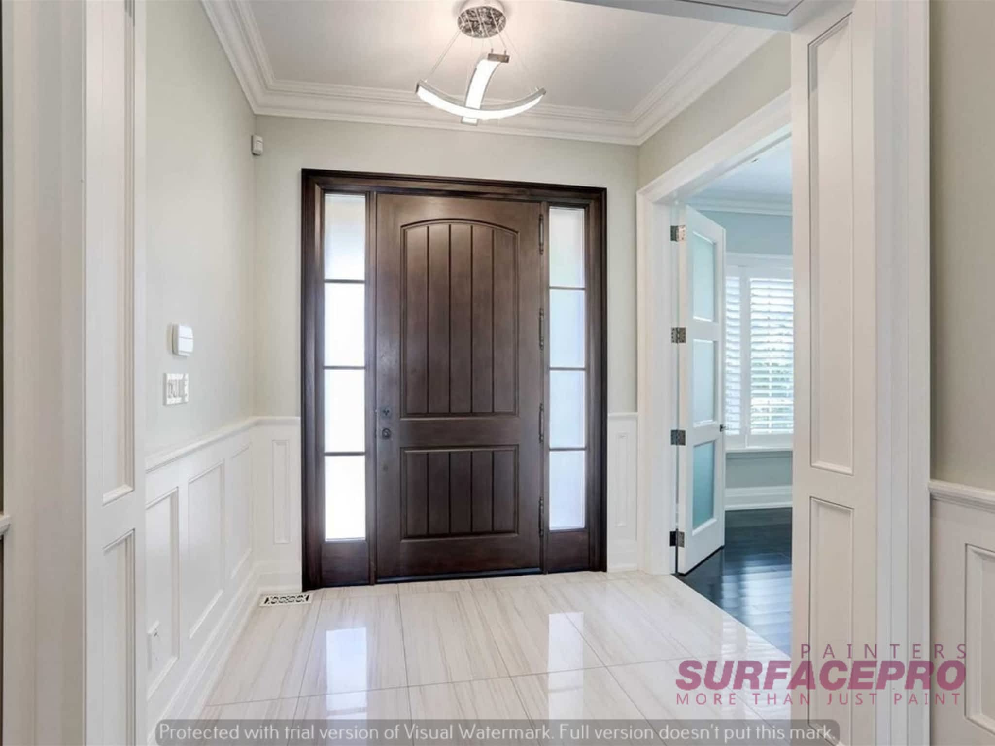 photo SurfacePro Painters