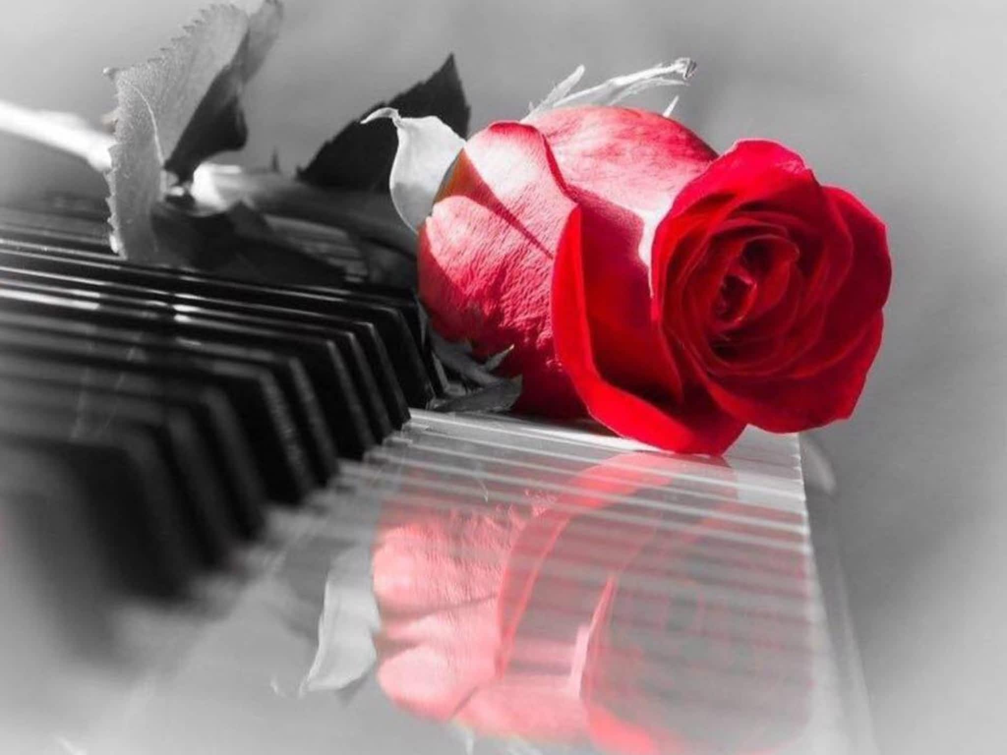 photo Fleuriste St-Eustache