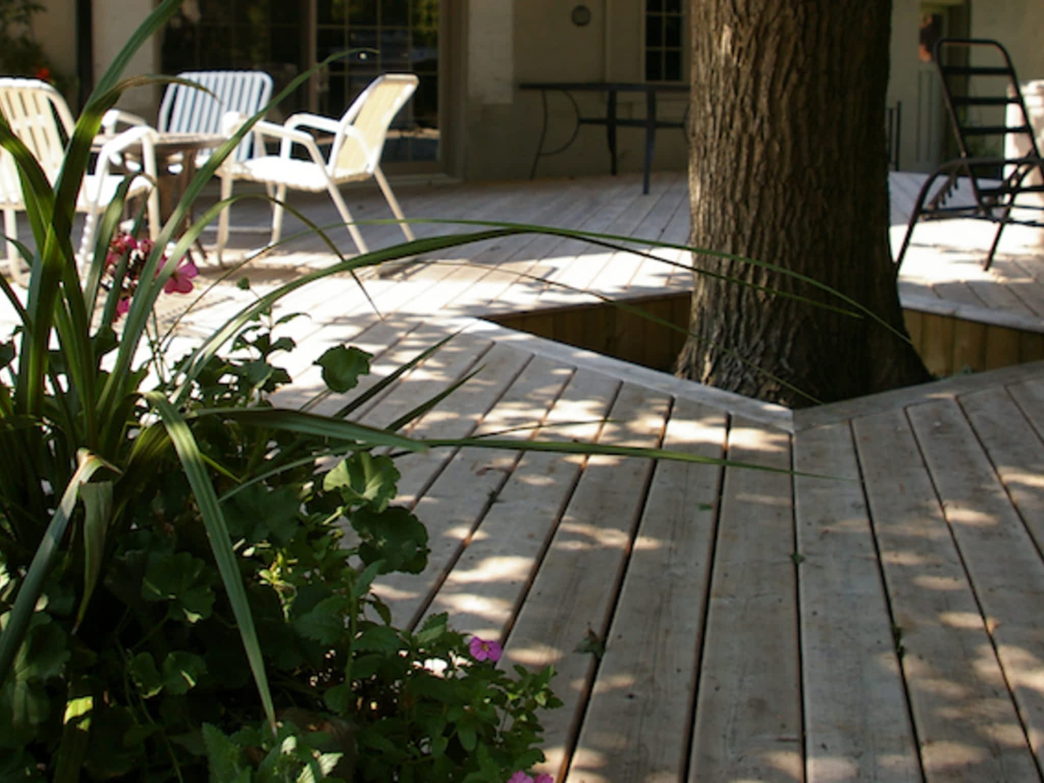 photo Merlin Construction Ltd