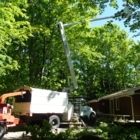 Wallace Tree Service - Tree Service