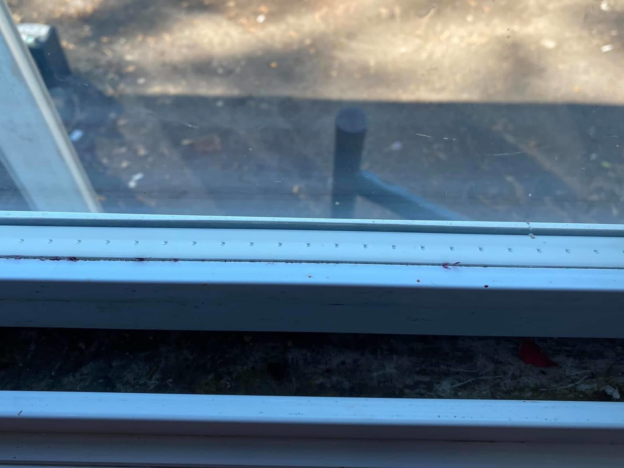 photo Sunset Cleaning