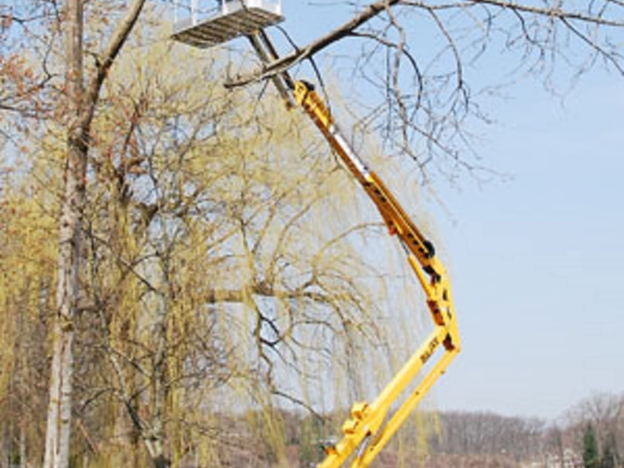 photo Bérico Construction