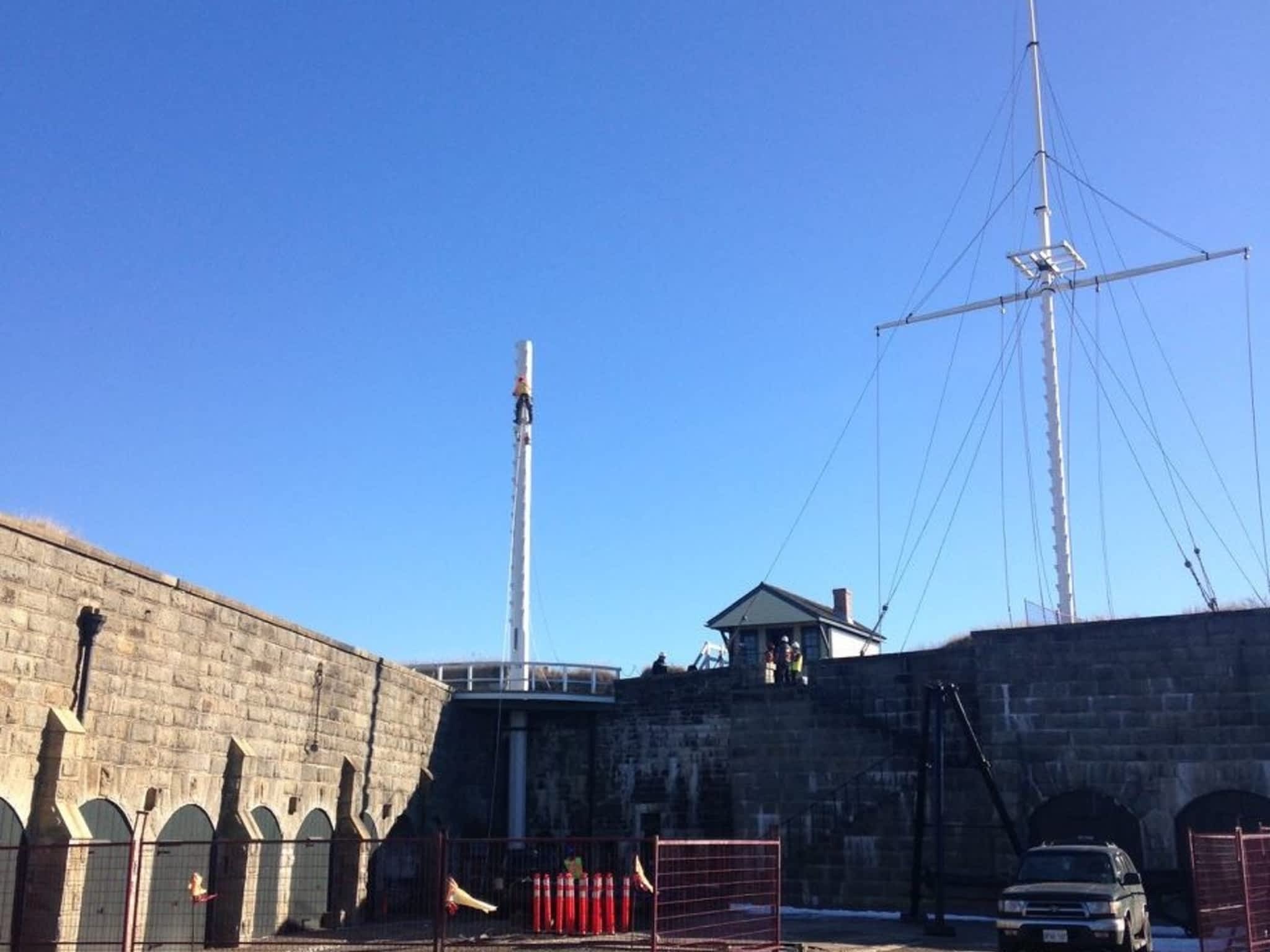 photo Solid Tree Care