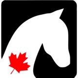 Voir le profil de Maple Lane Equestrian Trailers - Perth