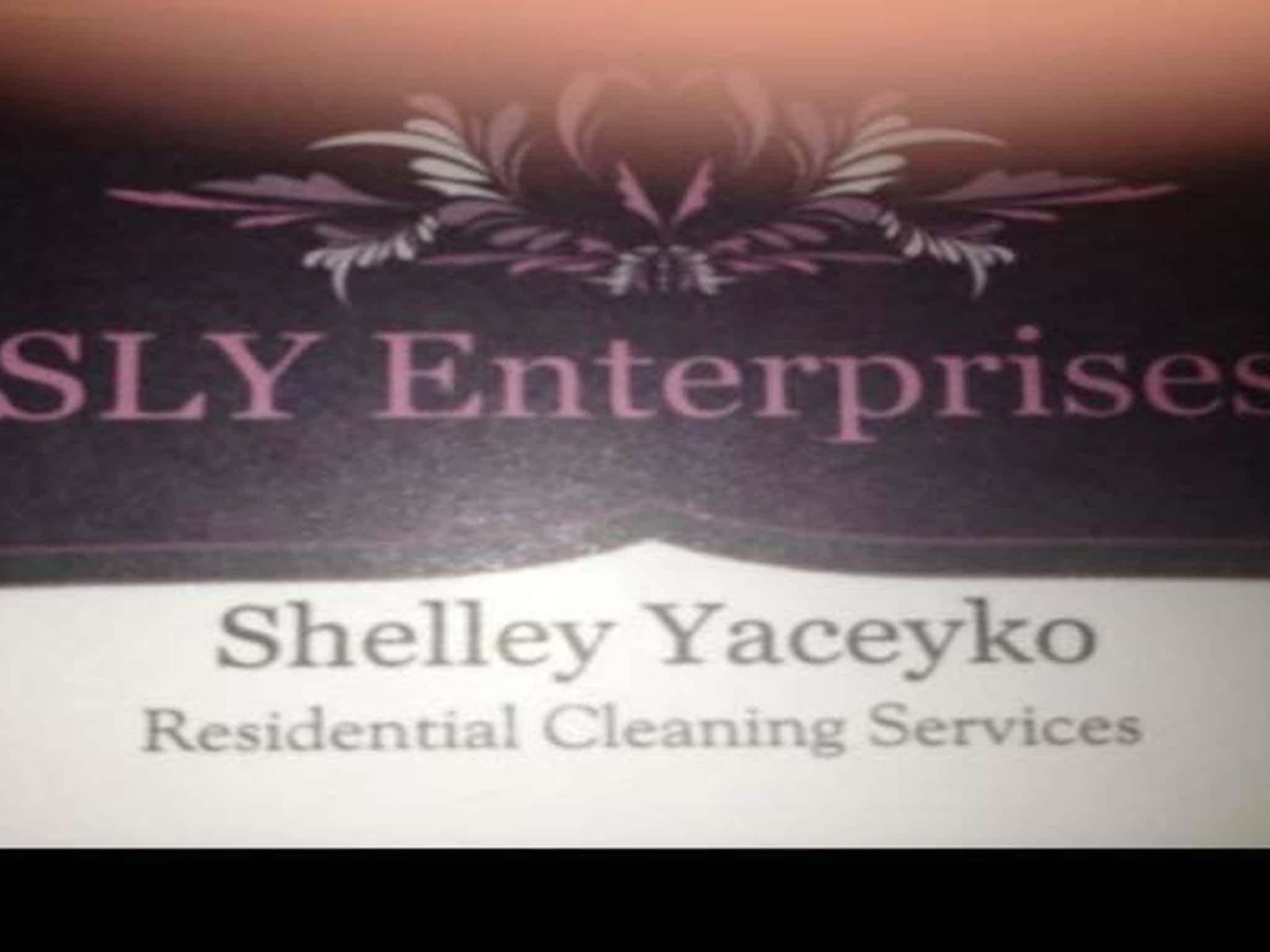 photo SLY Enterprises Cleaning Services