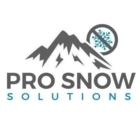 Pro Snow Solutions Ltd