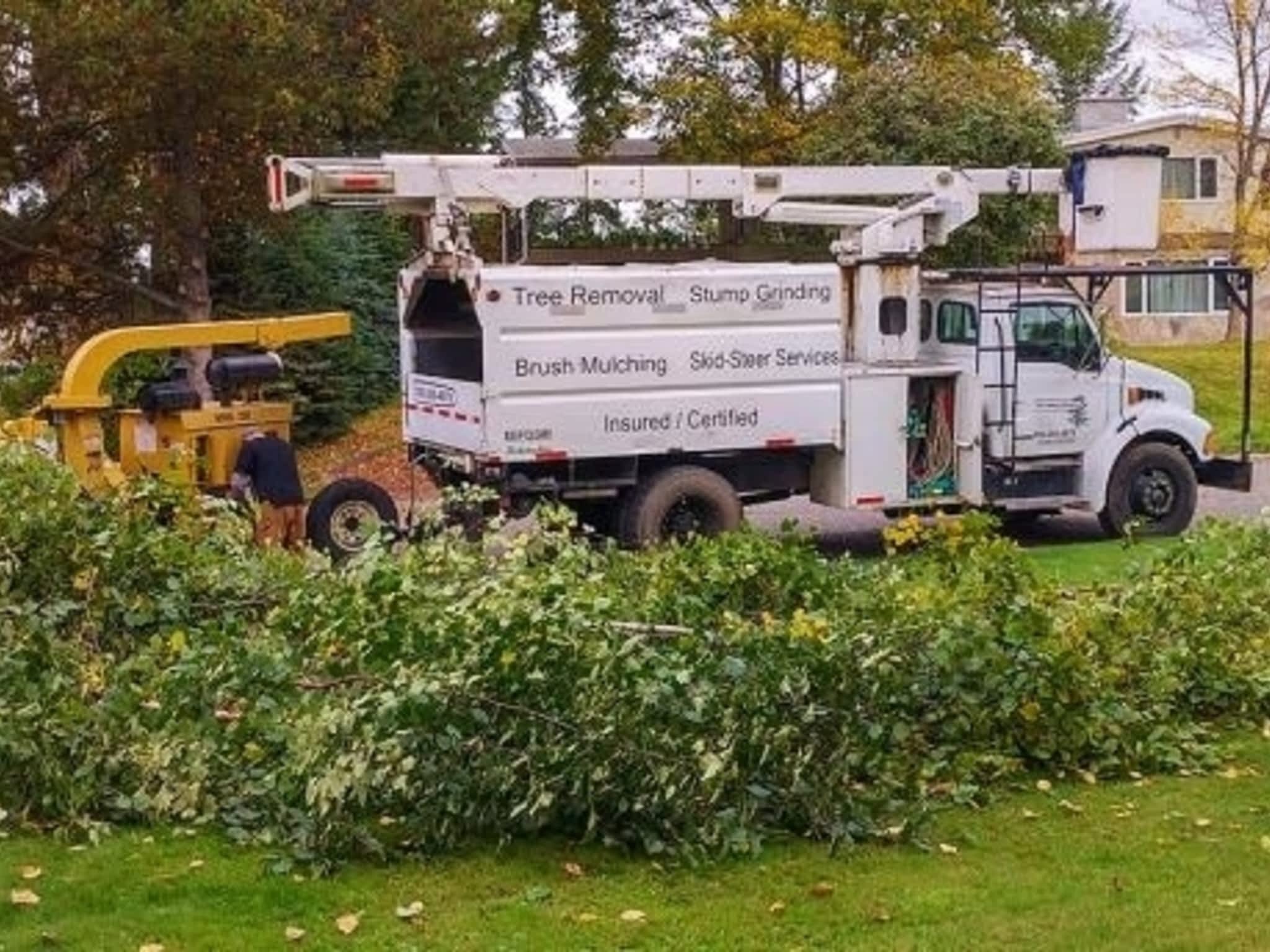 photo Ricks Tree Removal