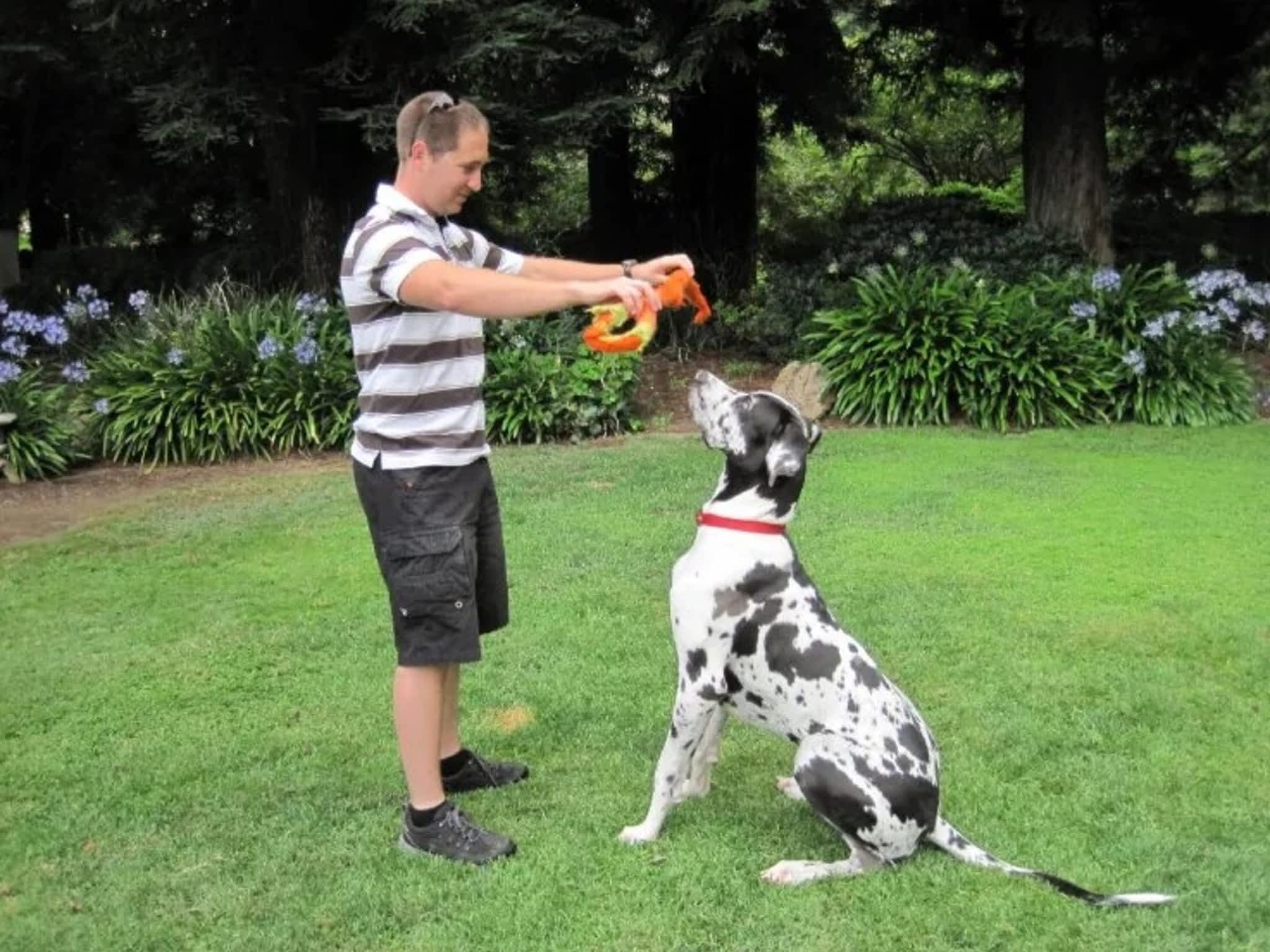 photo Dog Squad - Calgary Dog Trainer