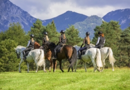 Saddle up! Horseback riding in and around Calgary
