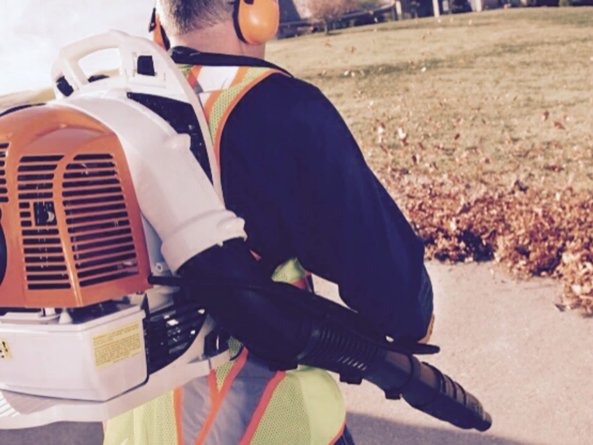 photo We Cut For You