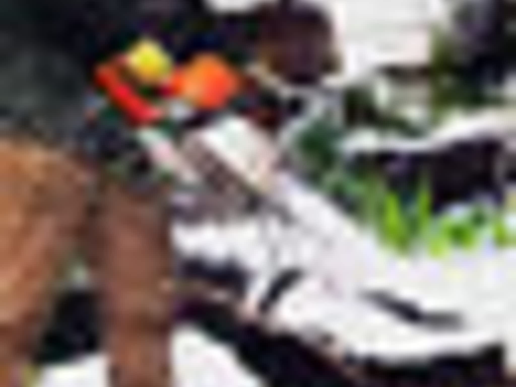 photo Top to Bottom Tree Service