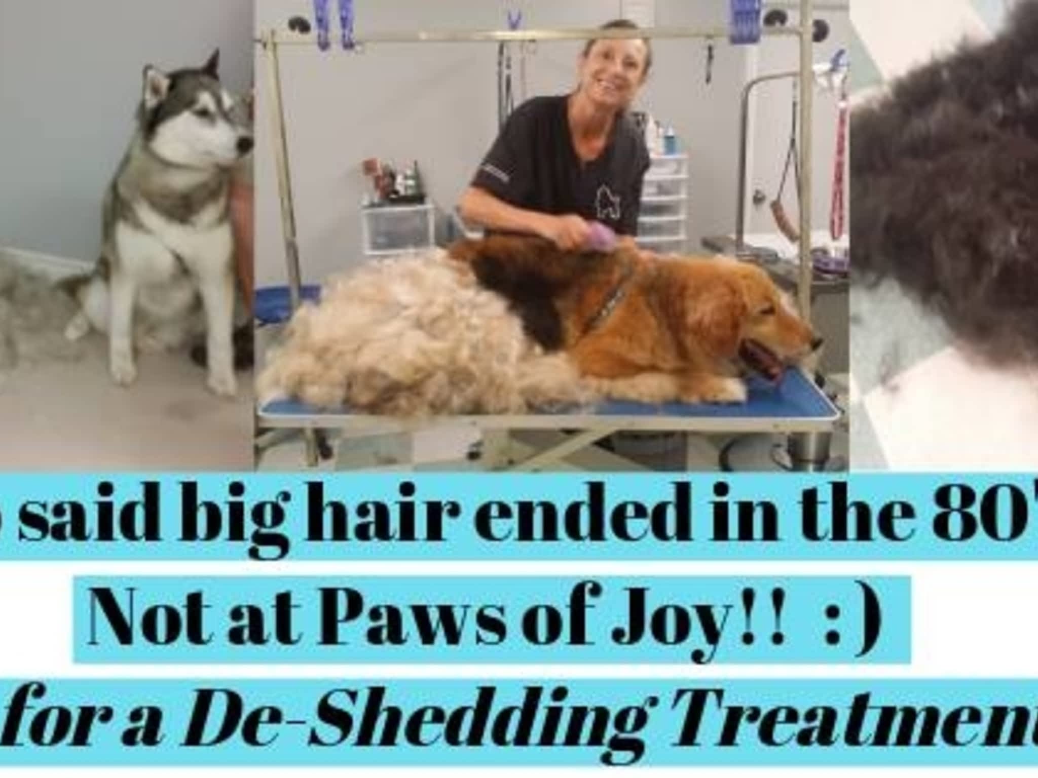 photo Paws of Joy Pet Grooming Salon