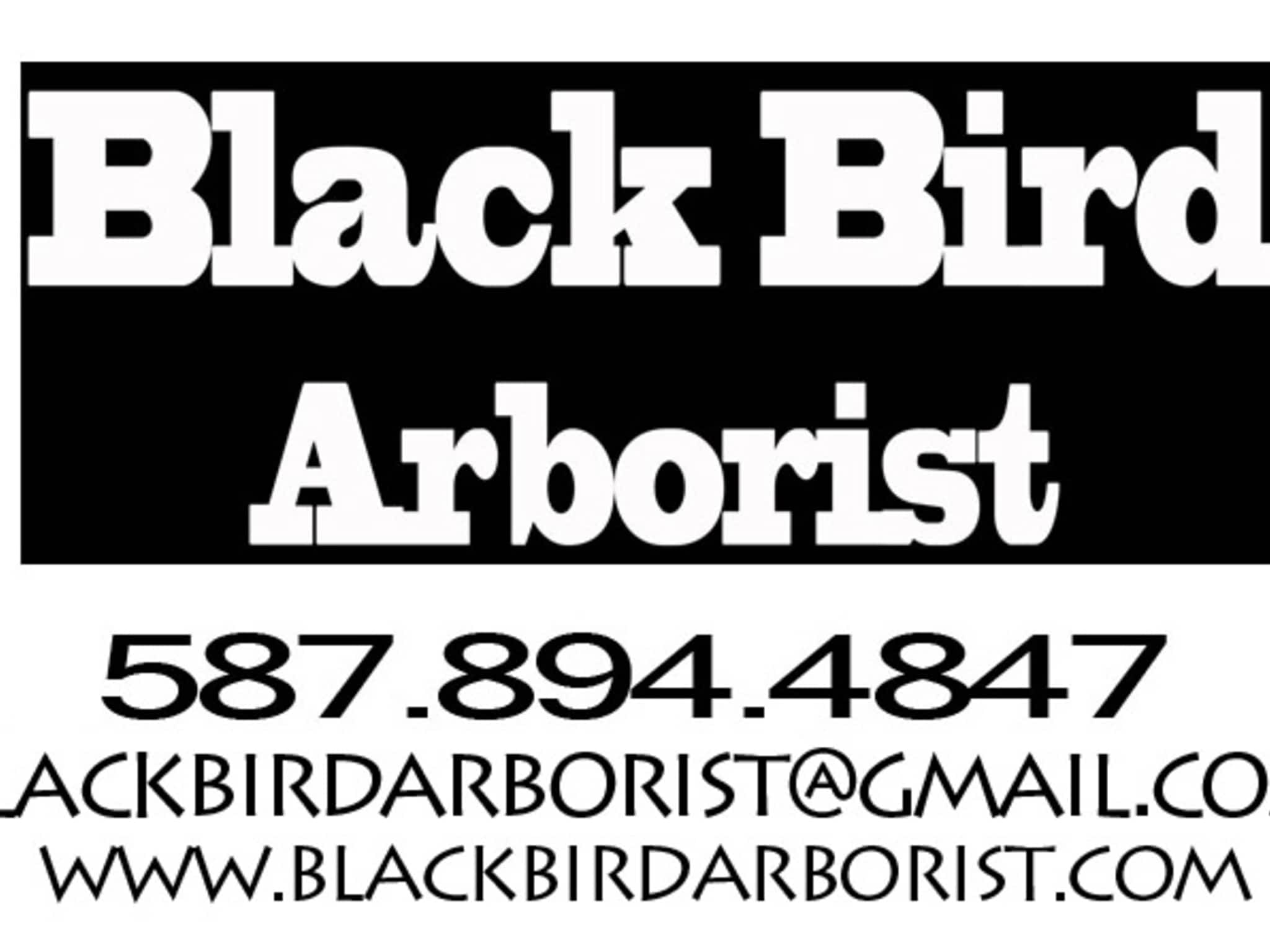 photo Black Bird Arborist