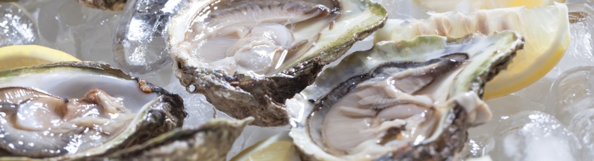 Where to get buck-a-shuck oysters in Toronto