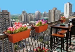 The view from above: Ottawa’s top rooftop patios