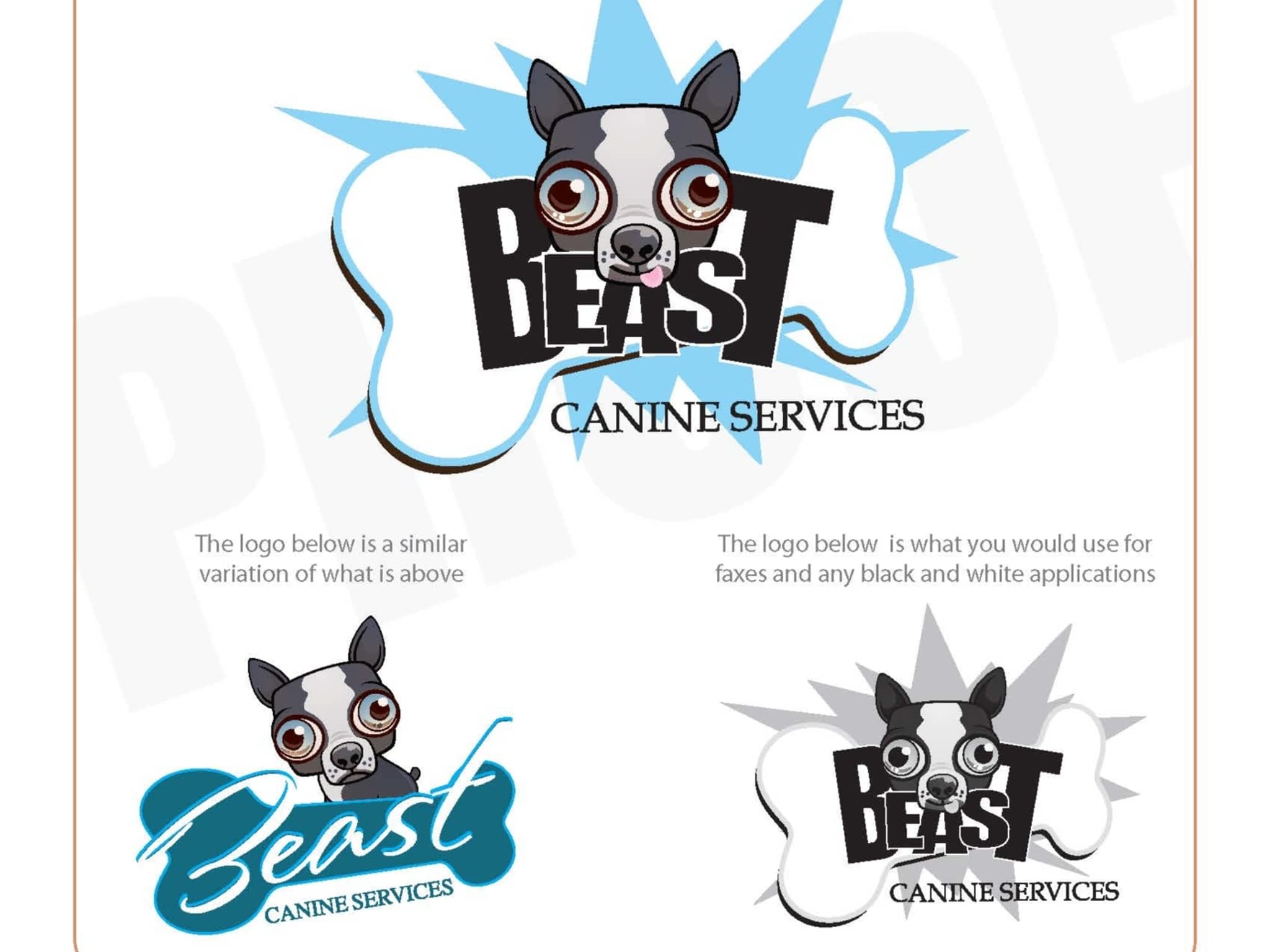 photo Creative Licence Design