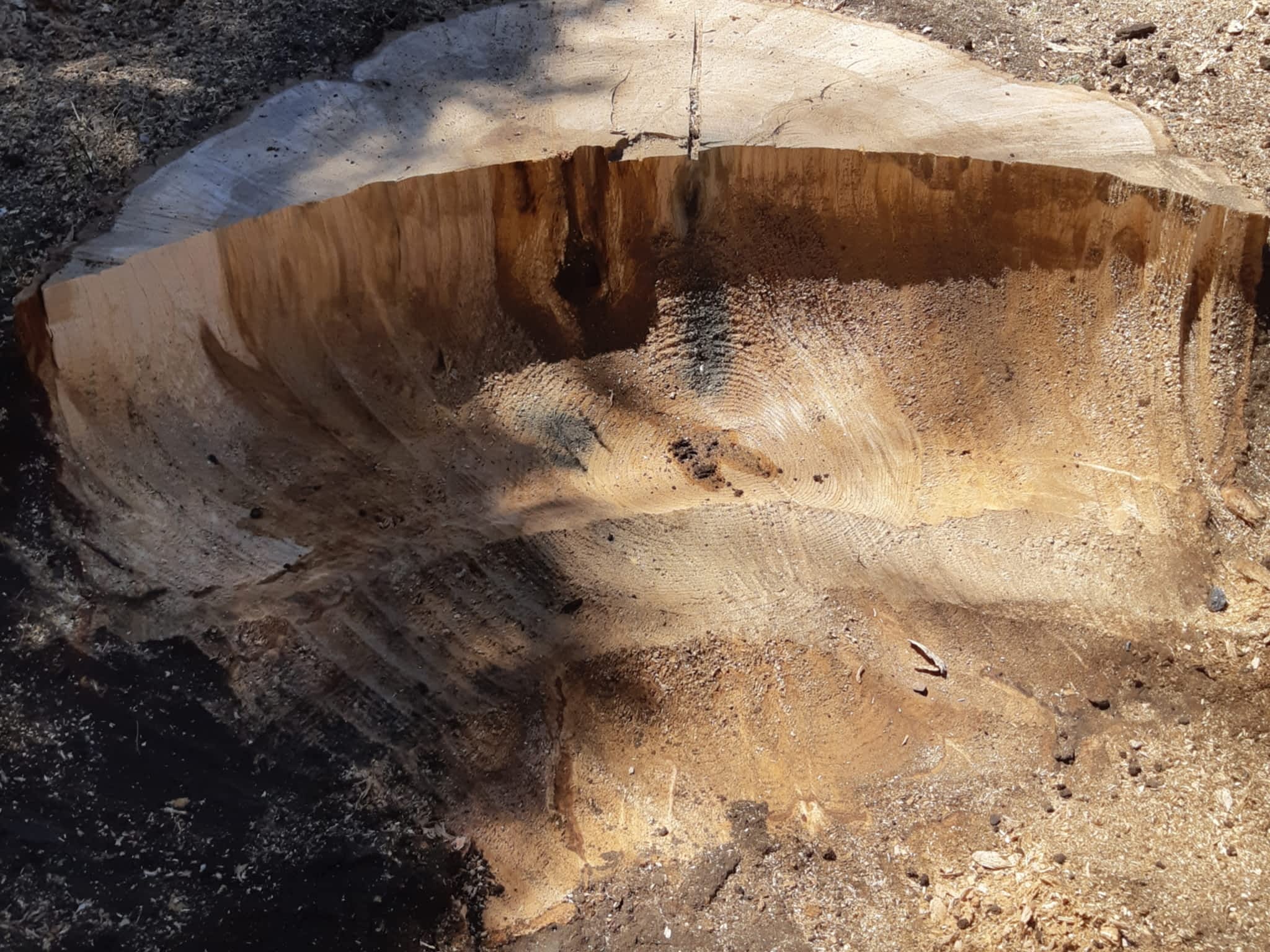 photo MIDL Entretien de Terrain