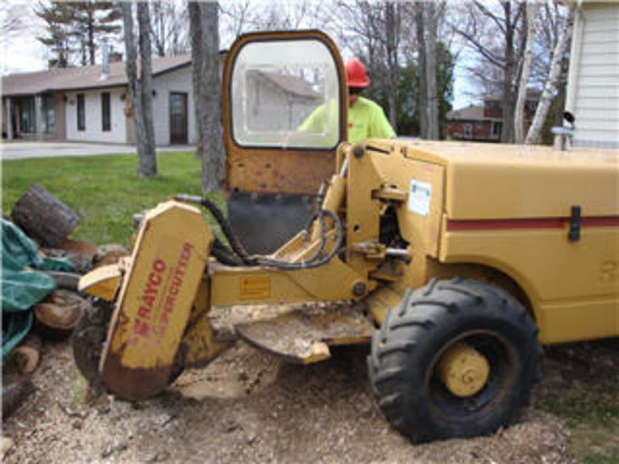 photo Arborworks Tree Service