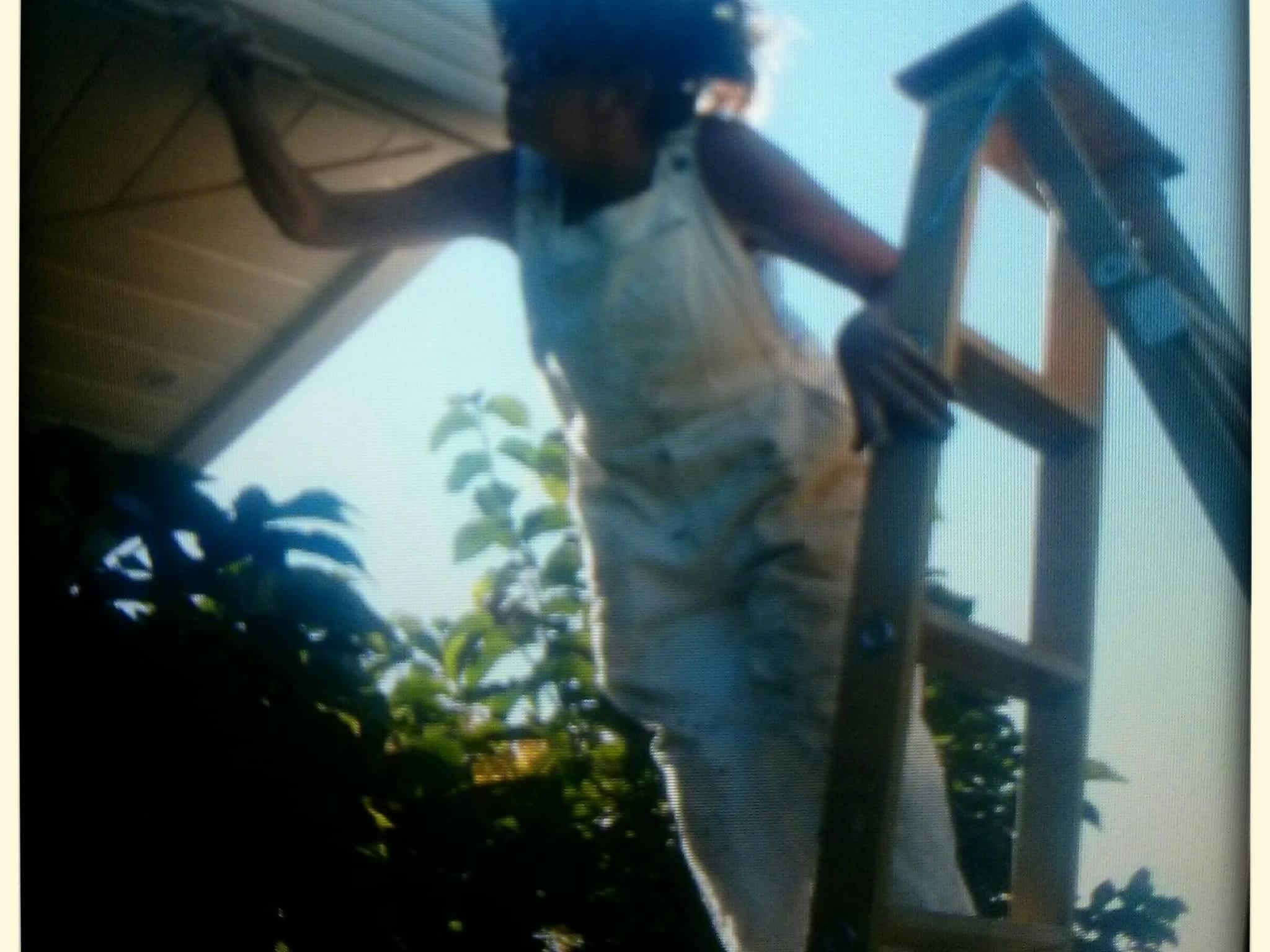 photo Rush Decorators