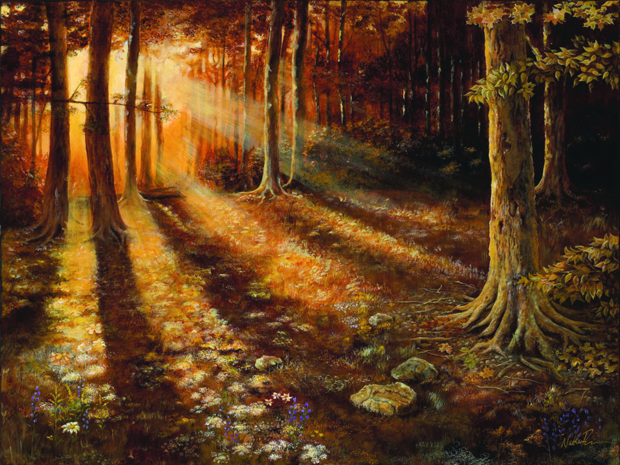 photo Nathan Turner Design