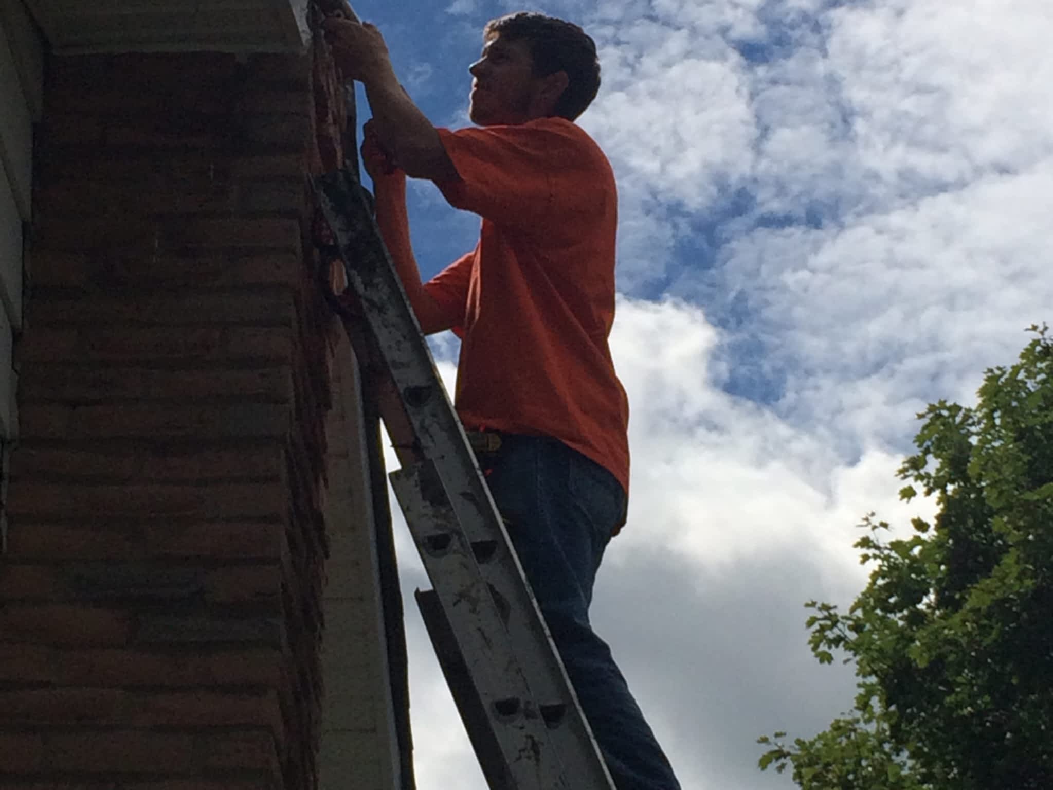 Robertson's Wildlife & Pest Control | Canpages