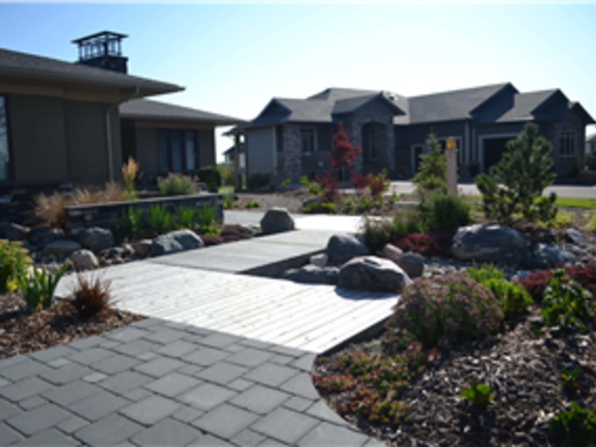 photo Earthlings Inc