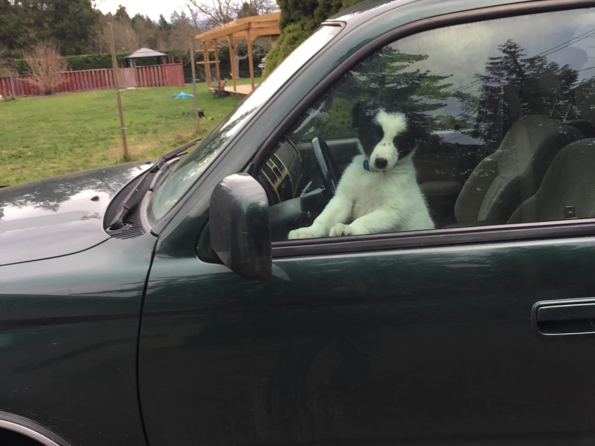 photo Aurora Diagnostics & Repair