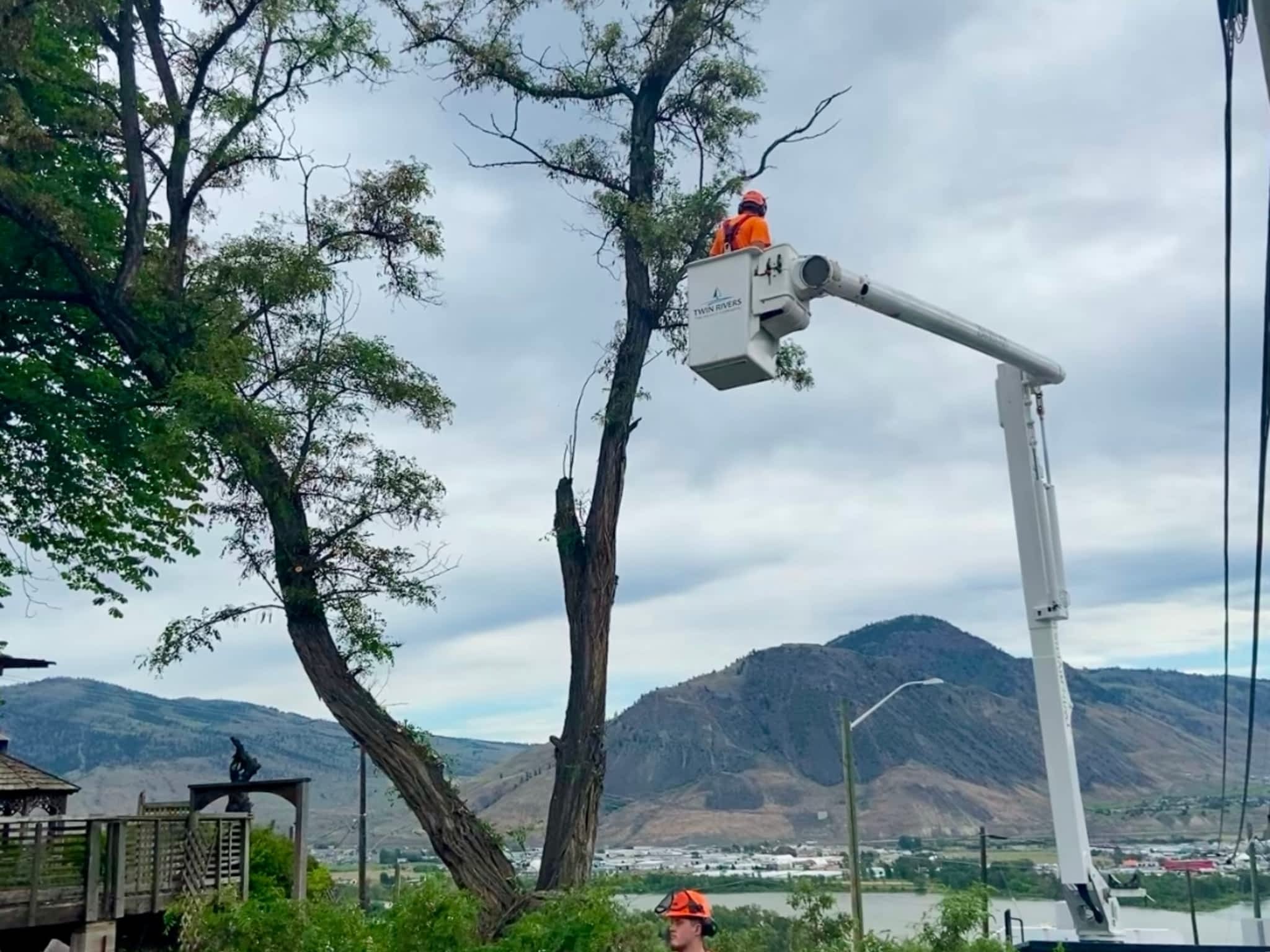 photo Twin Rivers Tree Service and Landscaping - Frase r Valley