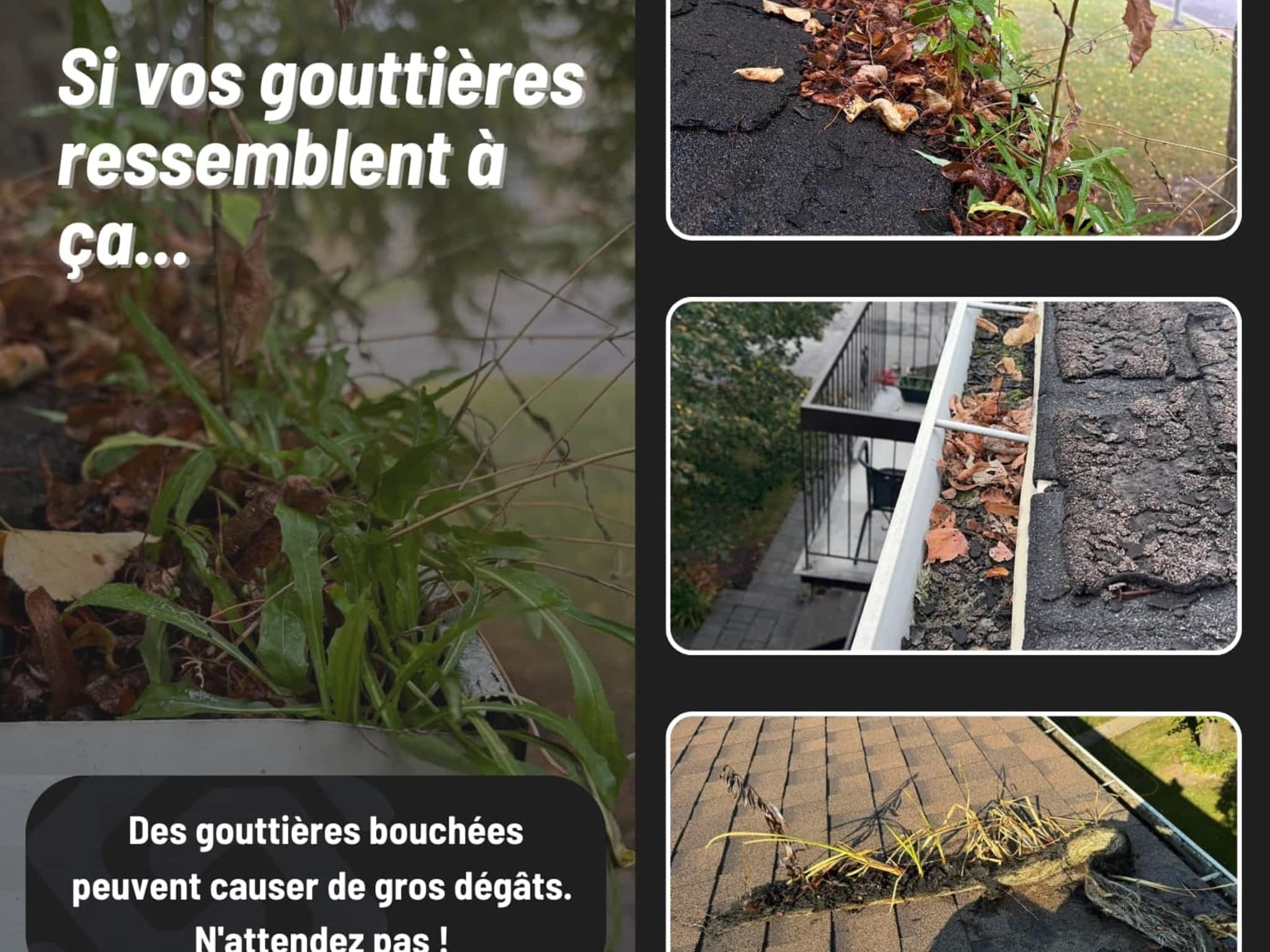 photo Groupe Supreme Multi Services de Nettoyage