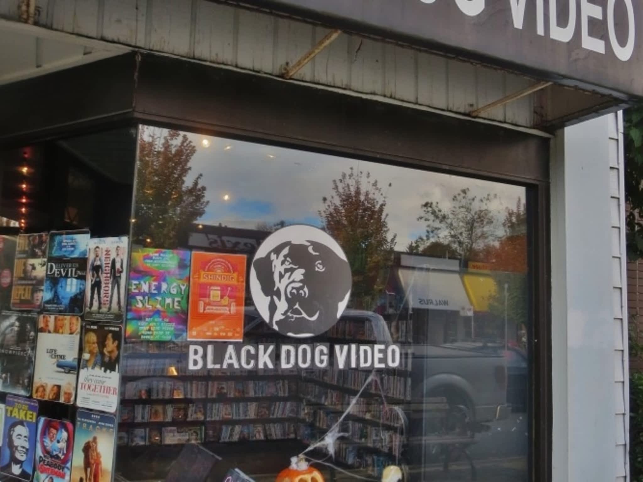 photo Black Dog Video