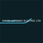 Lopinski David Electric Ltd - Logo