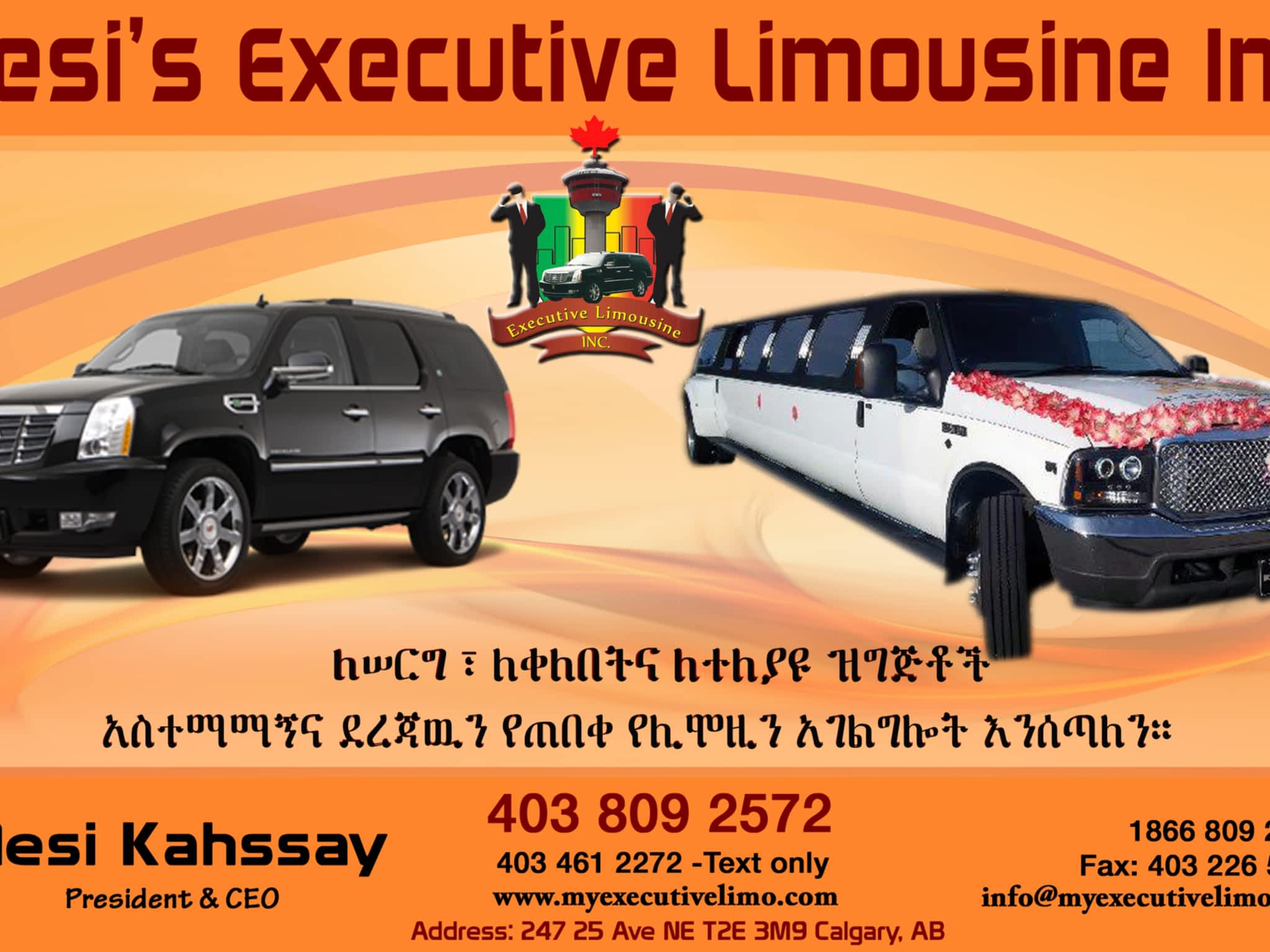 photo Executive Limousine Inc