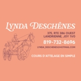 Attelage Lynda Deschênes - Écoles et cours d'équitation
