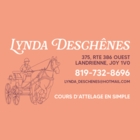 Attelage Lynda Deschênes - Riding Academies