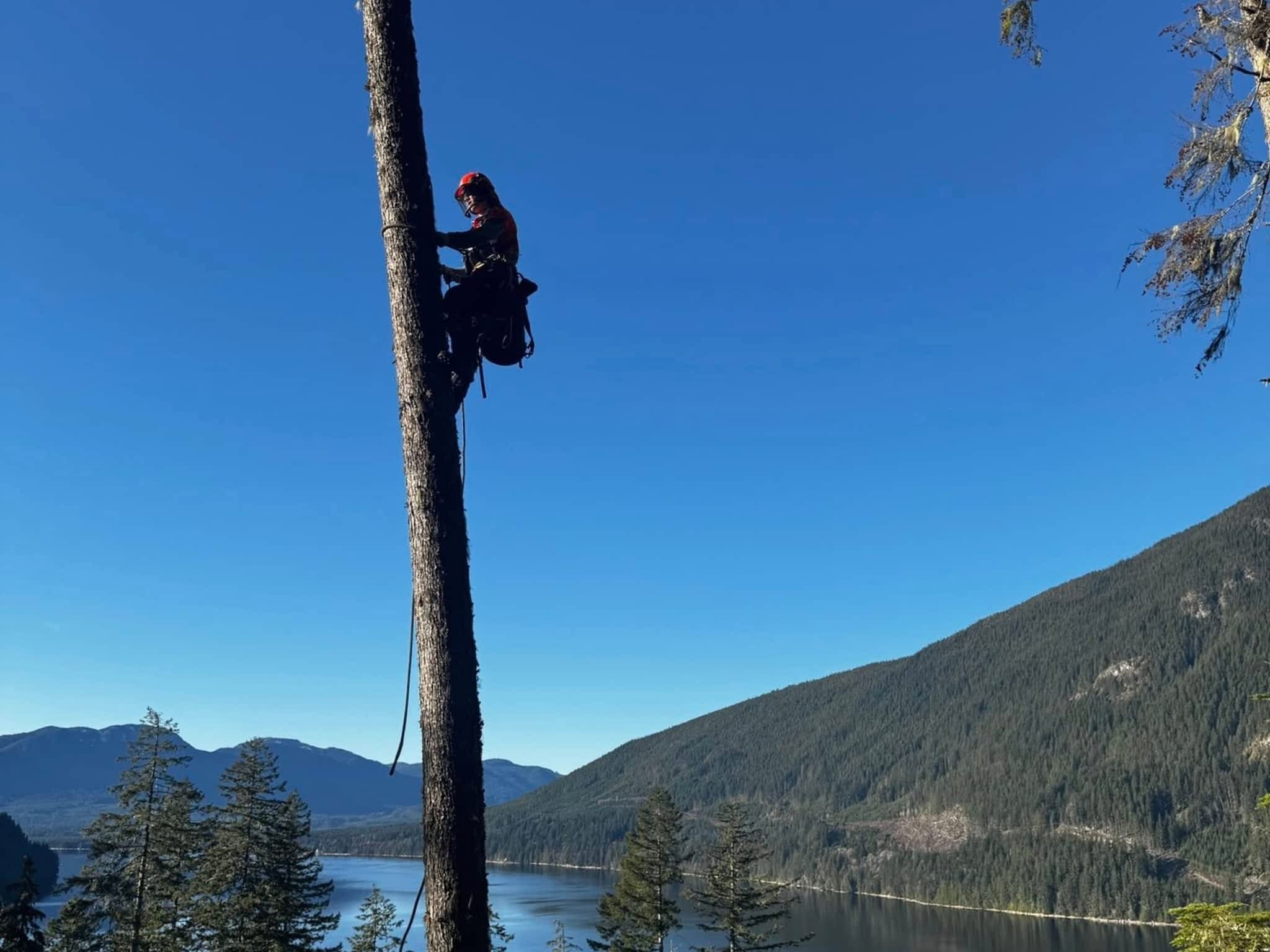 photo Valhalla Falling & Tree Services