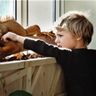 Beyond Montessori - Kindergartens & Pre-school Nurseries