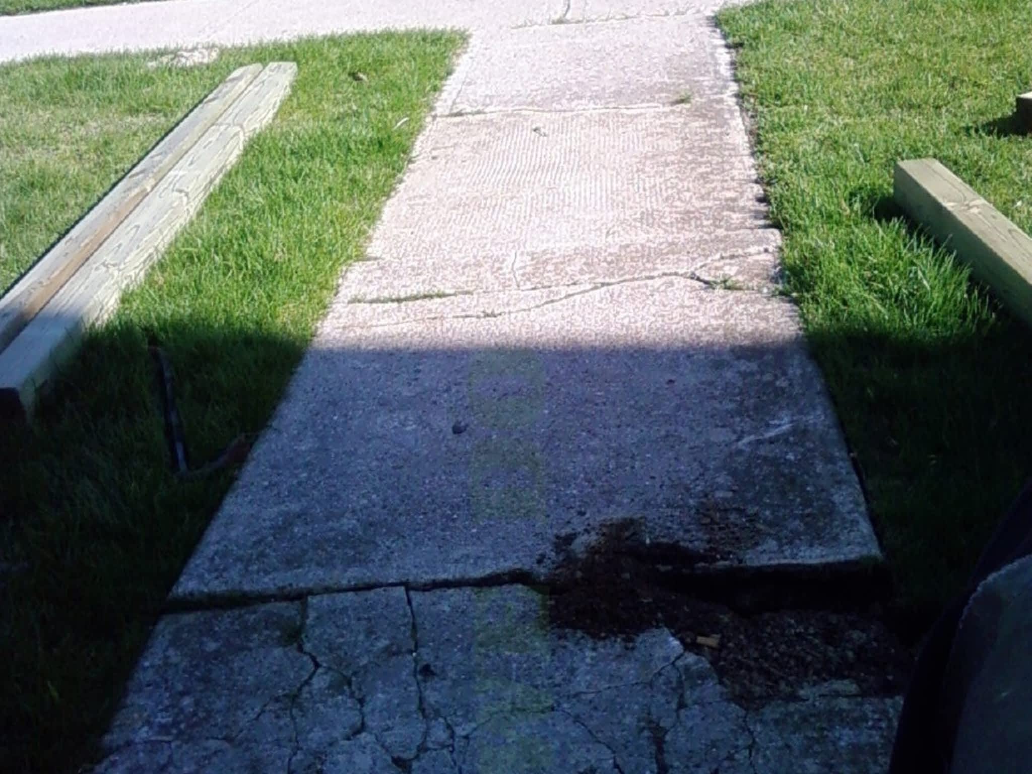 photo WE DO Property Service