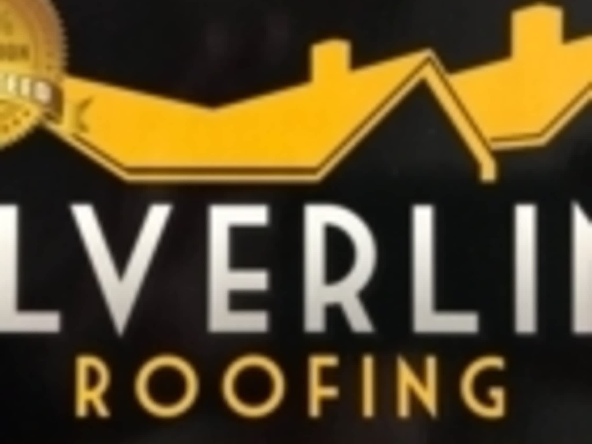 photo Silverline Roofing