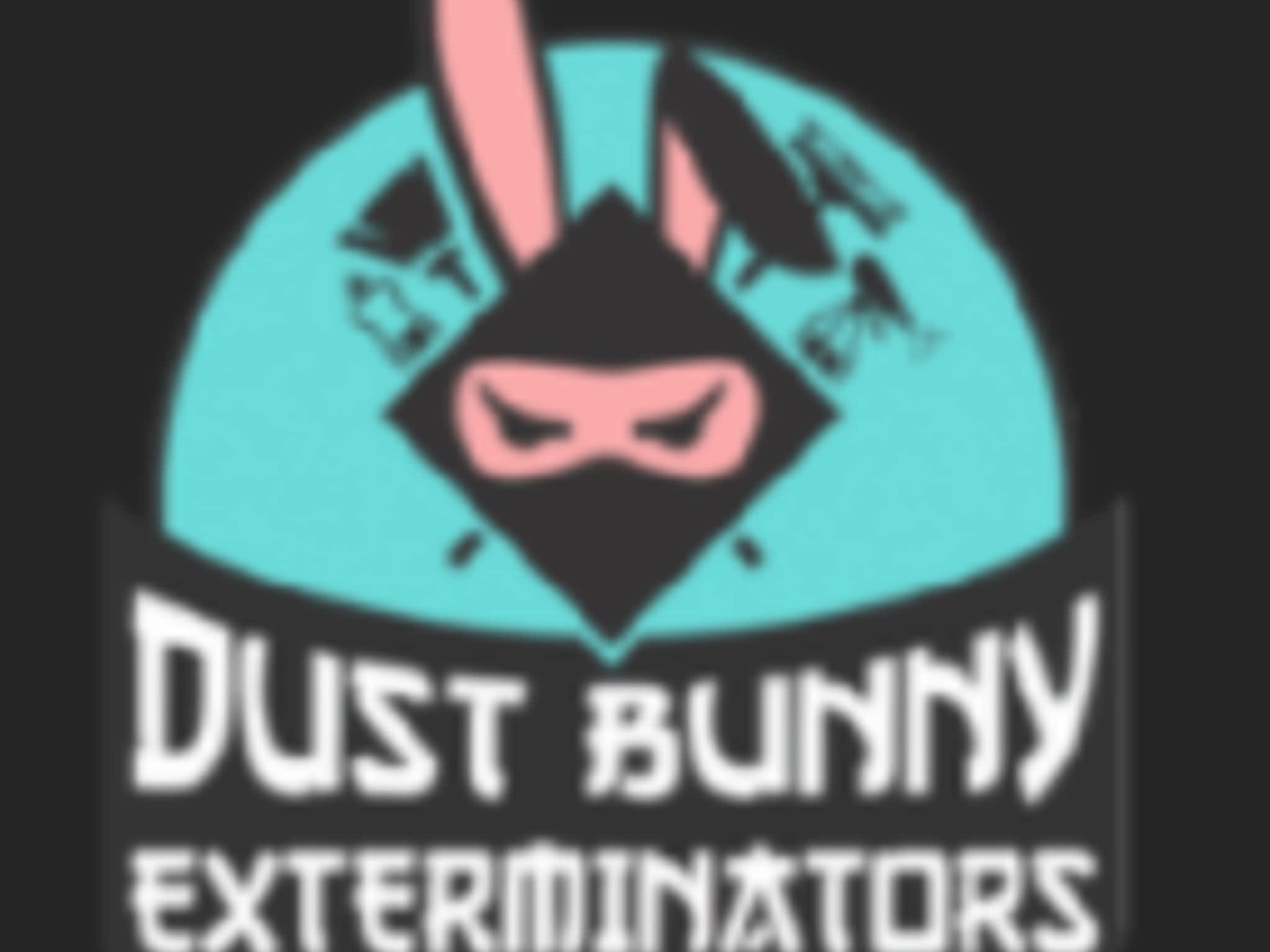 photo Dust Bunny Exterminators - Professional Cleaning
