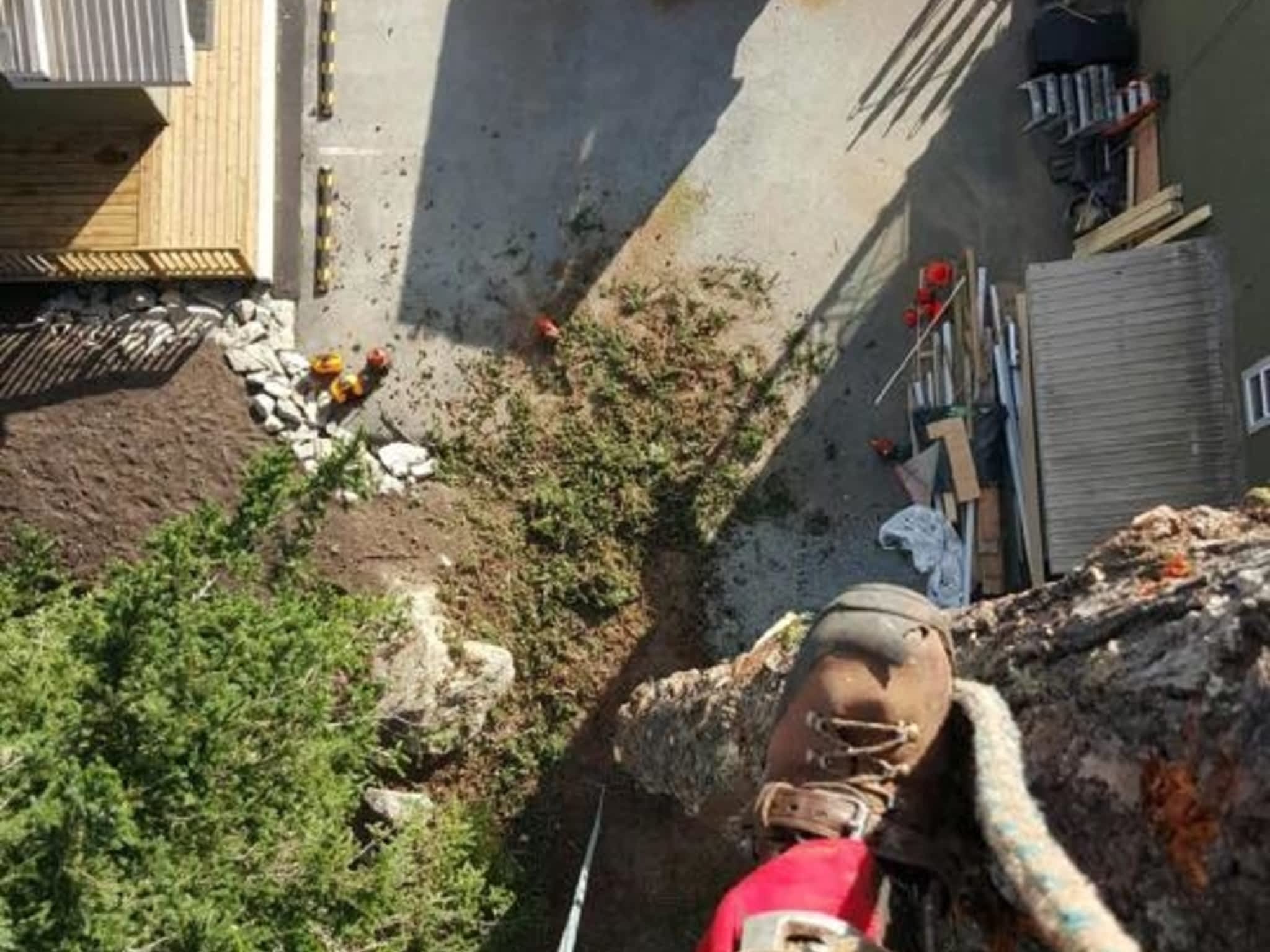 photo Windfirm Tree Services