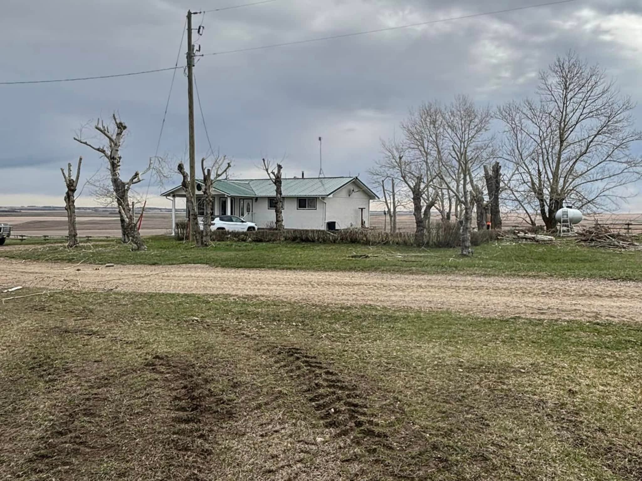 photo Spikes Tree Hugging Services