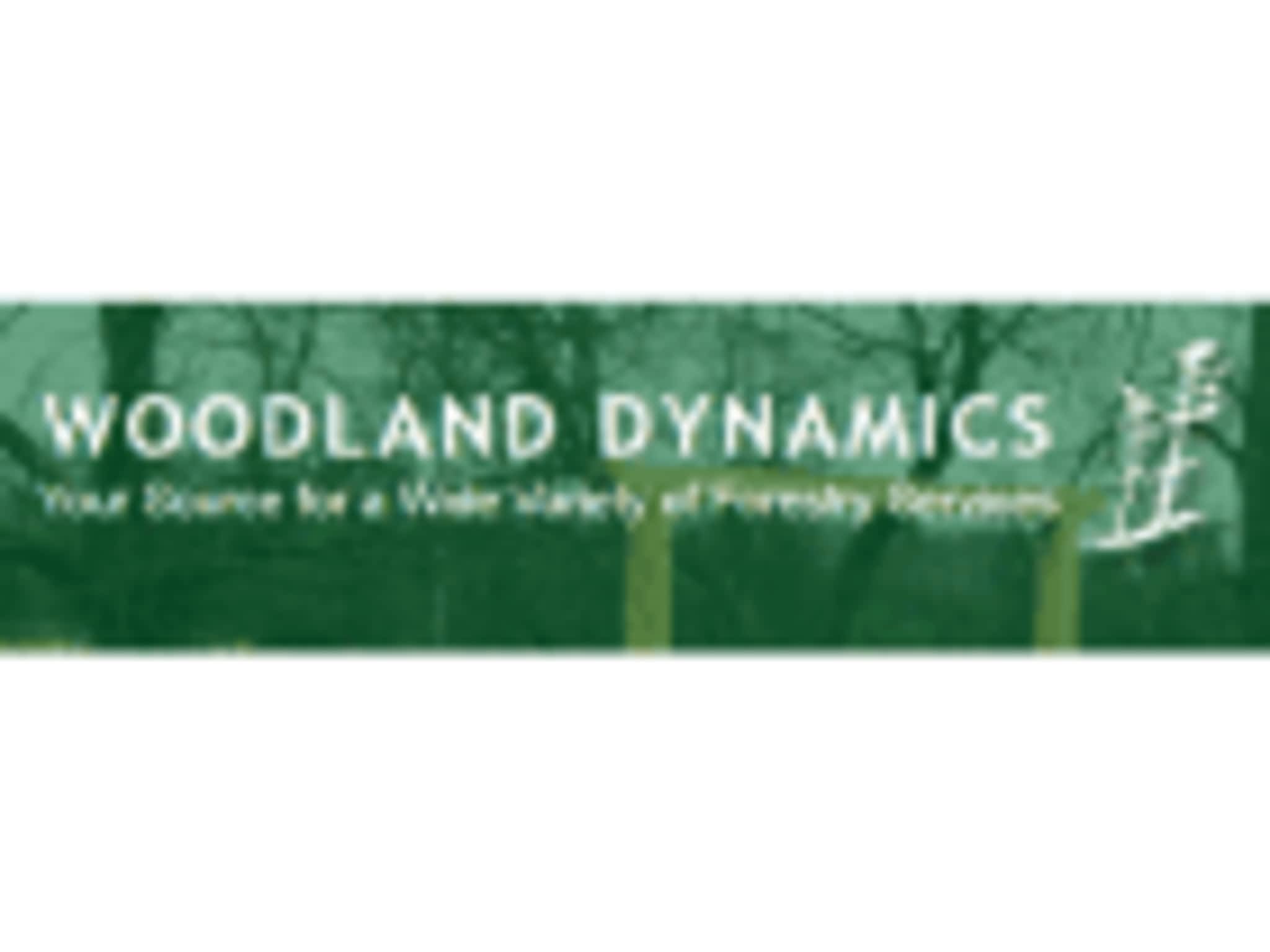 photo Woodland dynamics