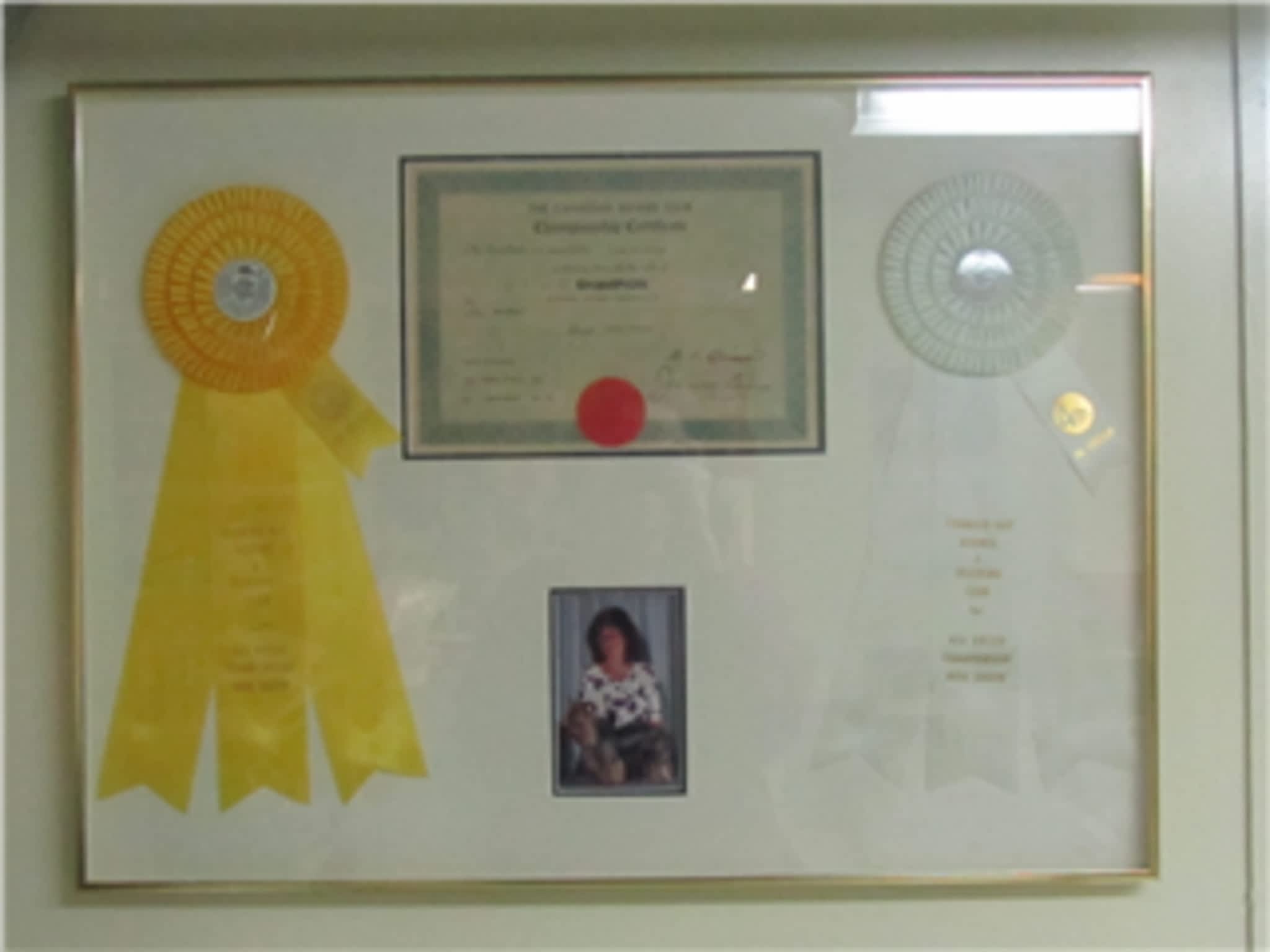 Tripaway Reg'd Boarding Kennels Thunder Bay, ON 995 Gratton Rd