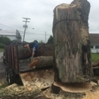 Élagage GB - Service d'entretien d'arbres