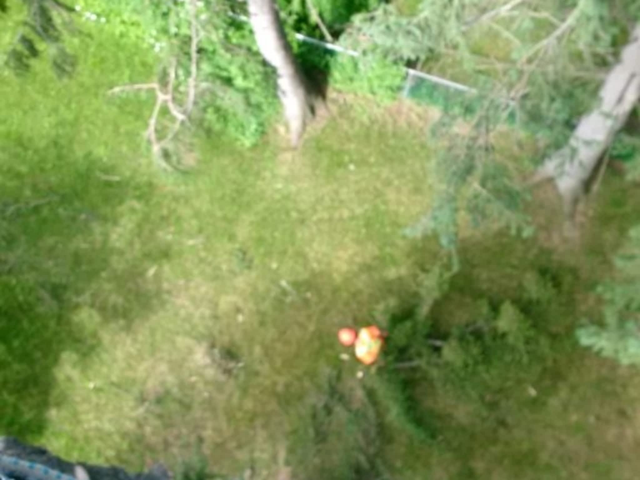 photo Crawford Loggers