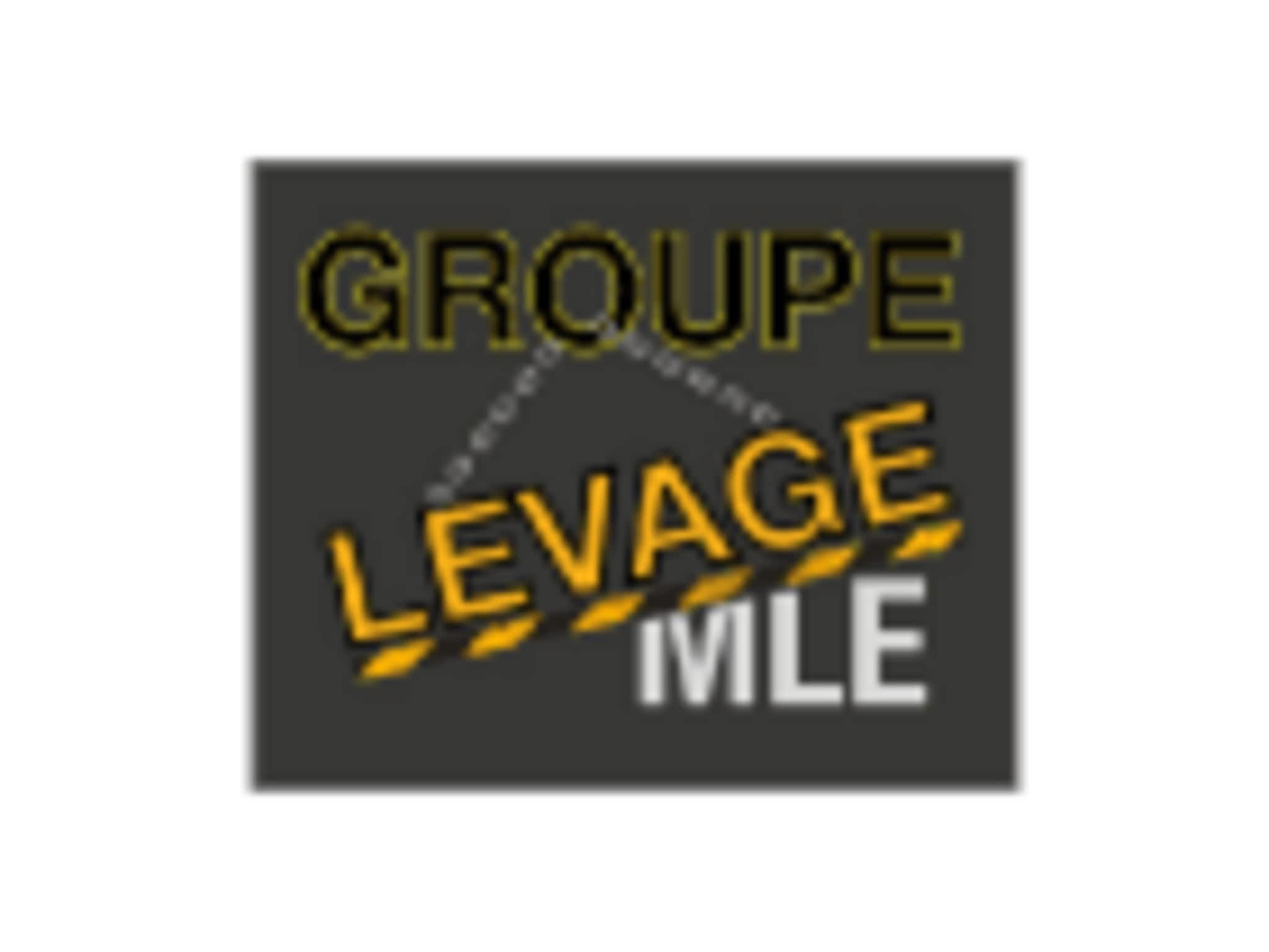 photo Groupe Levage MLE Inc