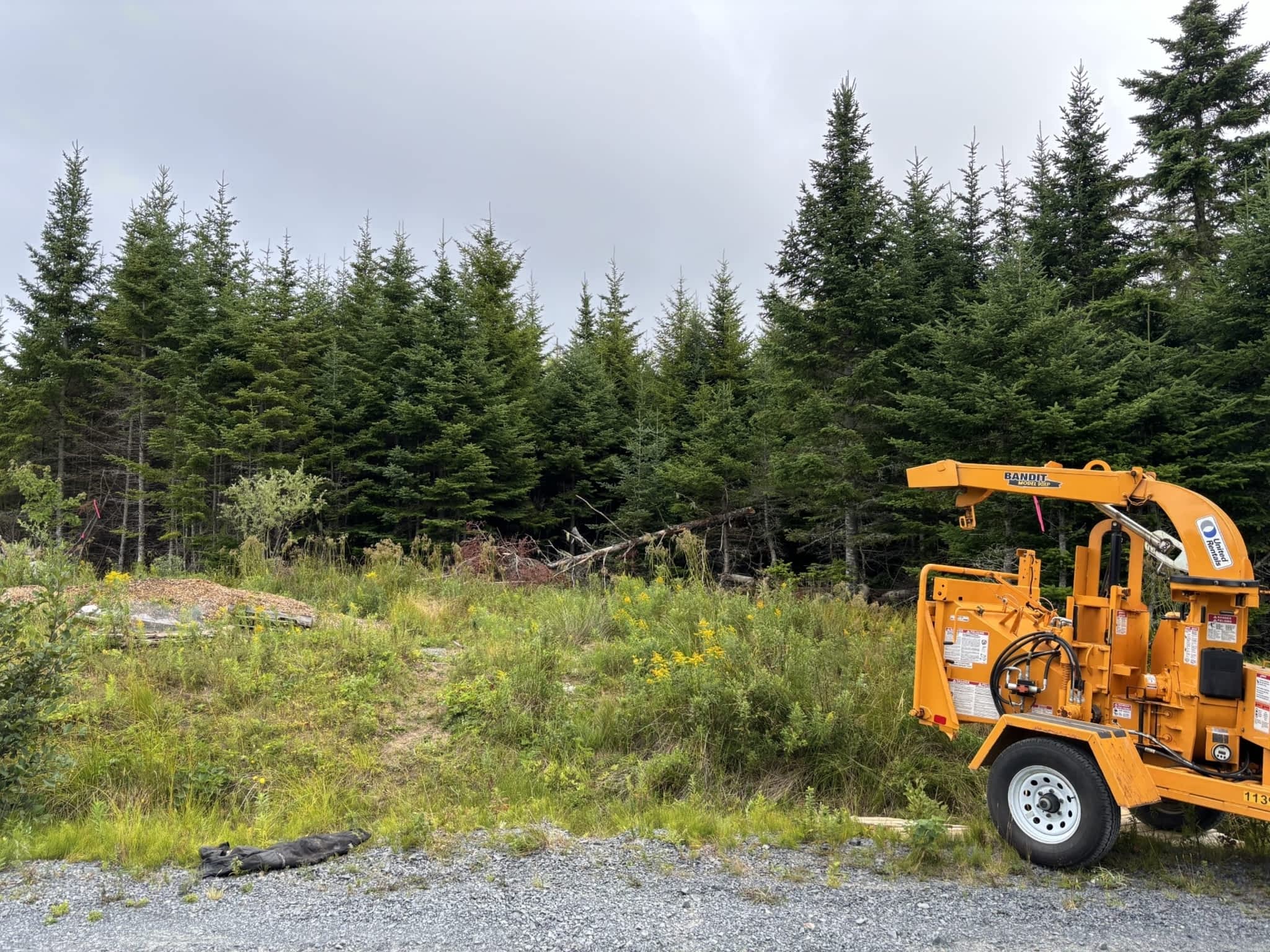 photo Emmitt's Tree Services