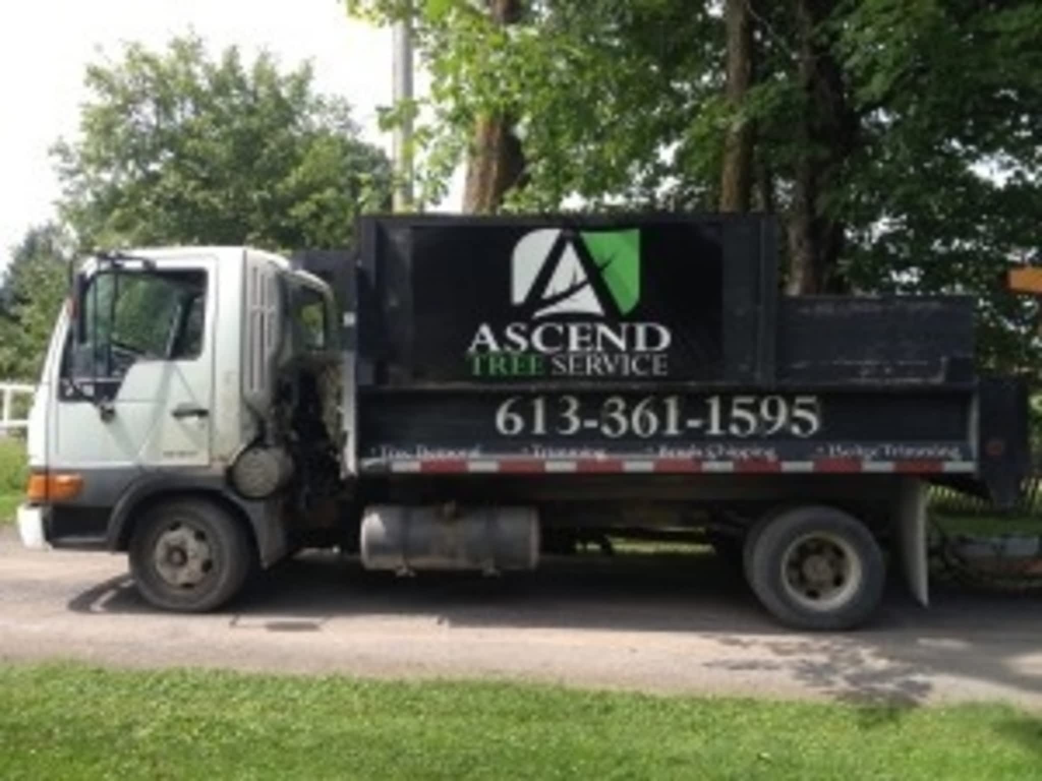 photo Ascend Tree Services