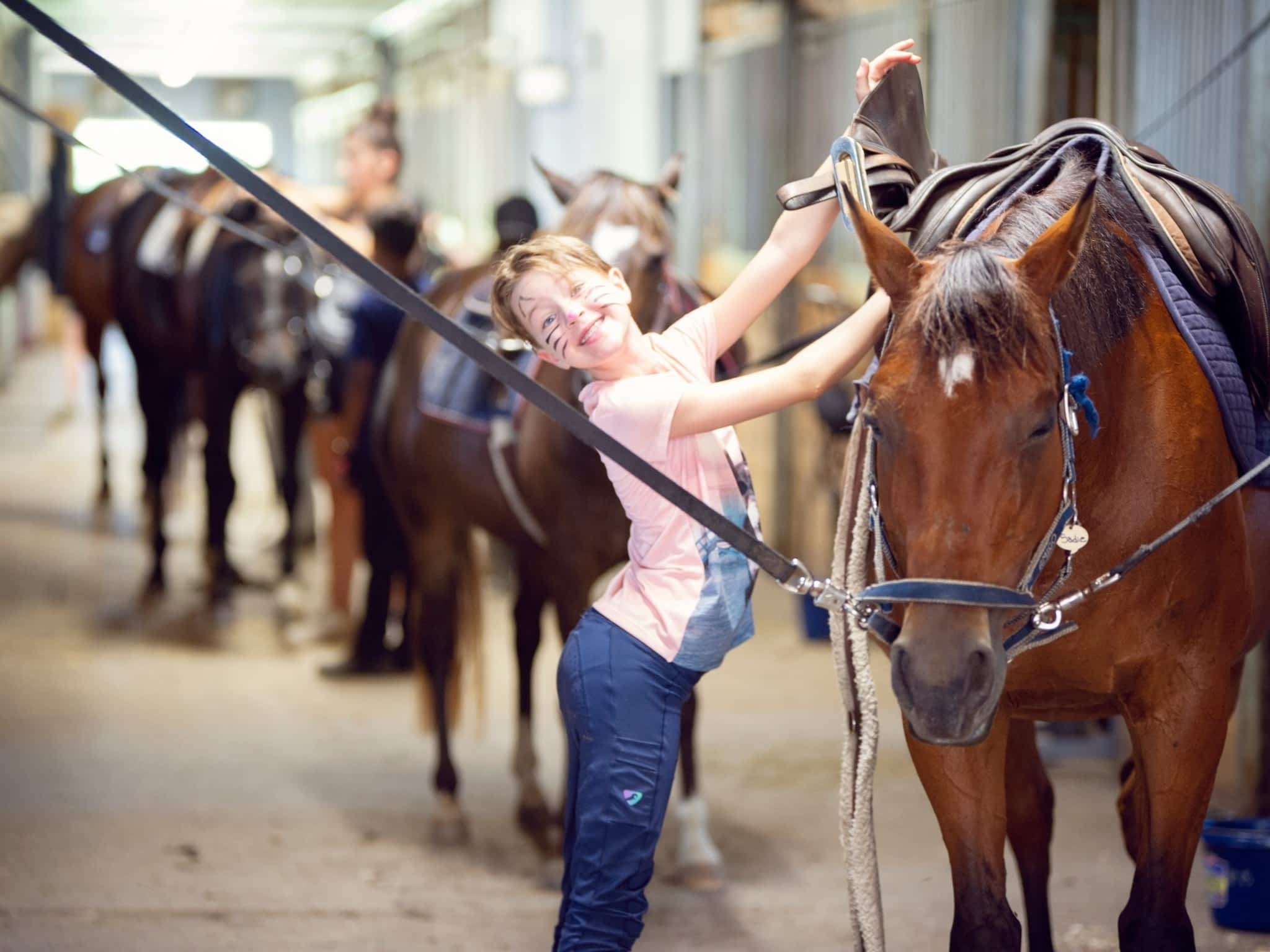 photo Wynbrook Equestrian Centre